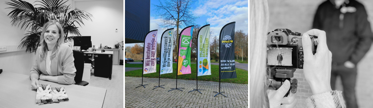 Stagaire Afbeeldingen Website